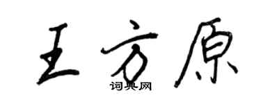 王正良王方原行書個性簽名怎么寫