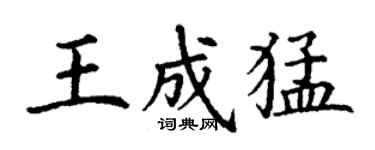 丁謙王成猛楷書個性簽名怎么寫