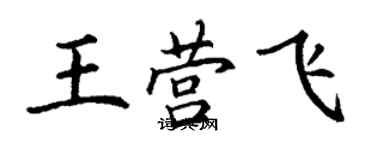 丁謙王營飛楷書個性簽名怎么寫