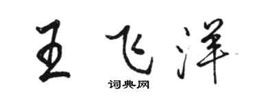 駱恆光王飛洋行書個性簽名怎么寫