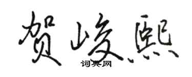 駱恆光賀峻熙行書個性簽名怎么寫