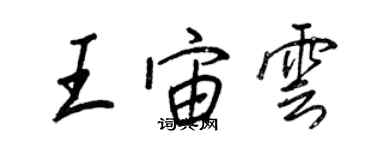 王正良王宙雲行書個性簽名怎么寫