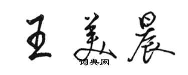 駱恆光王美晨行書個性簽名怎么寫