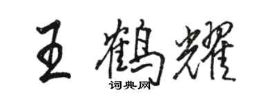 駱恆光王鶴耀行書個性簽名怎么寫