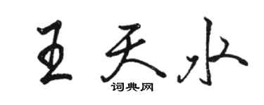 駱恆光王天水行書個性簽名怎么寫