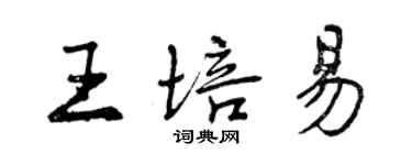 曾慶福王培易行書個性簽名怎么寫