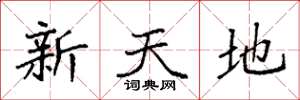 袁強新天地楷書怎么寫
