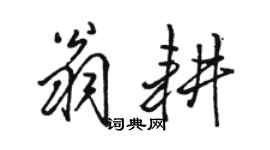 駱恆光翁耕行書個性簽名怎么寫