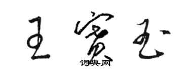 駱恆光王賽玉草書個性簽名怎么寫