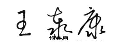 駱恆光王泰康草書個性簽名怎么寫