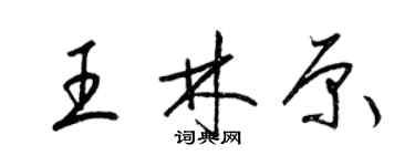 梁錦英王林原草書個性簽名怎么寫
