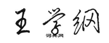 駱恆光王學綱行書個性簽名怎么寫