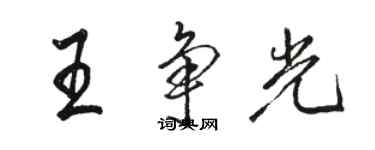 駱恆光王爭光行書個性簽名怎么寫