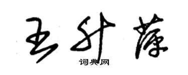 朱錫榮王升萍草書個性簽名怎么寫