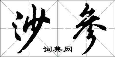 胡問遂沙參行書怎么寫