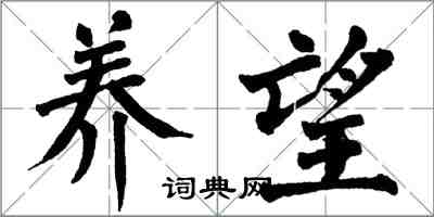 翁闓運養望楷書怎么寫