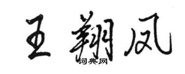 駱恆光王翔鳳行書個性簽名怎么寫