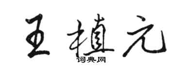 駱恆光王植元行書個性簽名怎么寫
