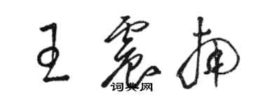 駱恆光王震南草書個性簽名怎么寫