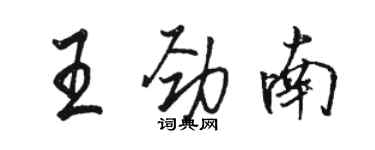 駱恆光王勁南行書個性簽名怎么寫