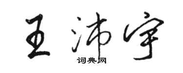 駱恆光王沛宇行書個性簽名怎么寫