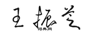 駱恆光王振芝草書個性簽名怎么寫