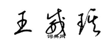 梁錦英王威琪草書個性簽名怎么寫