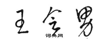 駱恆光王會男草書個性簽名怎么寫