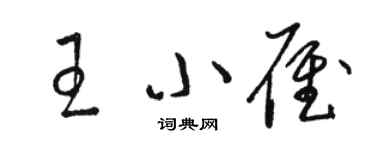 駱恆光王小雁草書個性簽名怎么寫