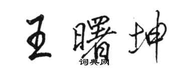 駱恆光王曙坤行書個性簽名怎么寫