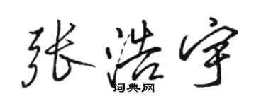 駱恆光張浩宇行書個性簽名怎么寫