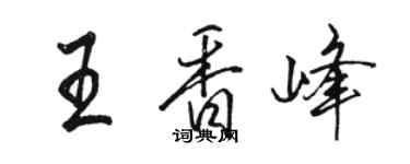 駱恆光王香峰行書個性簽名怎么寫