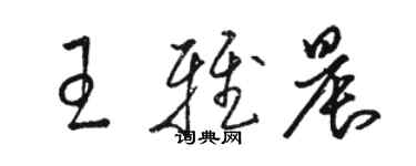 駱恆光王雅晨草書個性簽名怎么寫