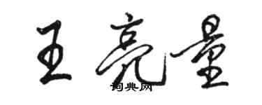 駱恆光王亮量行書個性簽名怎么寫