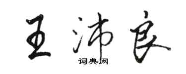 駱恆光王沛良行書個性簽名怎么寫