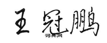 駱恆光王冠鵬行書個性簽名怎么寫