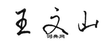 駱恆光王文山行書個性簽名怎么寫