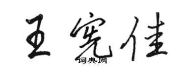 駱恆光王憲佳行書個性簽名怎么寫