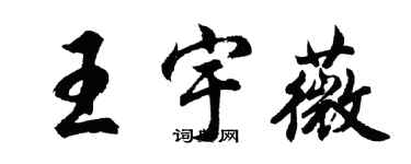 胡問遂王宇薇行書個性簽名怎么寫