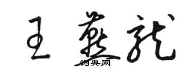 駱恆光王燕龍草書個性簽名怎么寫