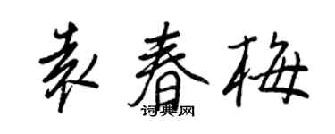 王正良袁春梅行書個性簽名怎么寫