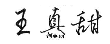 駱恆光王真甜行書個性簽名怎么寫