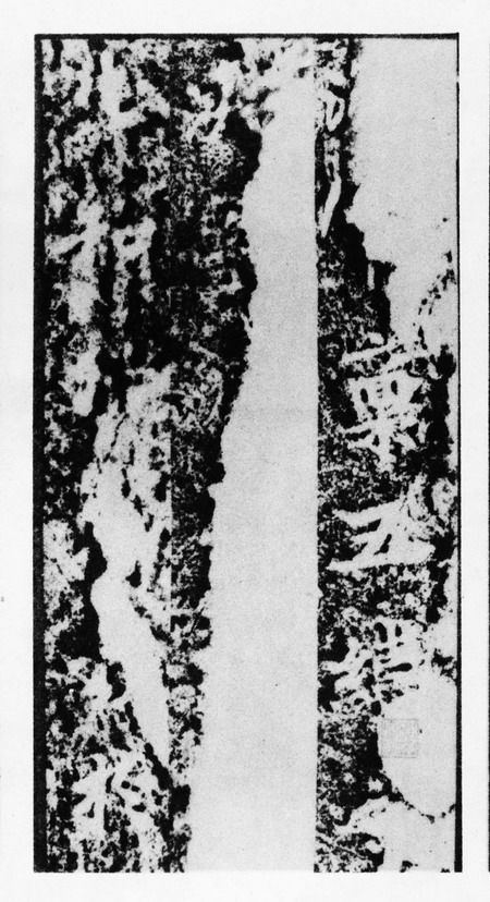 北魏《馬鳴寺根法師碑》