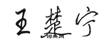 駱恆光王楚寧行書個性簽名怎么寫
