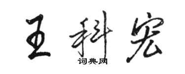 駱恆光王科宏行書個性簽名怎么寫