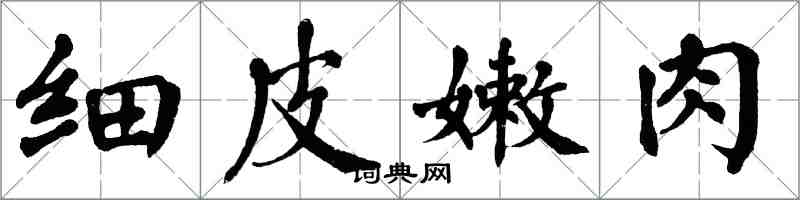 翁闓運細皮嫩肉楷書怎么寫