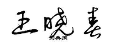 曾慶福王曉春草書個性簽名怎么寫