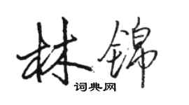 駱恆光林錦行書個性簽名怎么寫