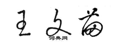 駱恆光王文苗草書個性簽名怎么寫