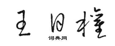 駱恆光王日權草書個性簽名怎么寫